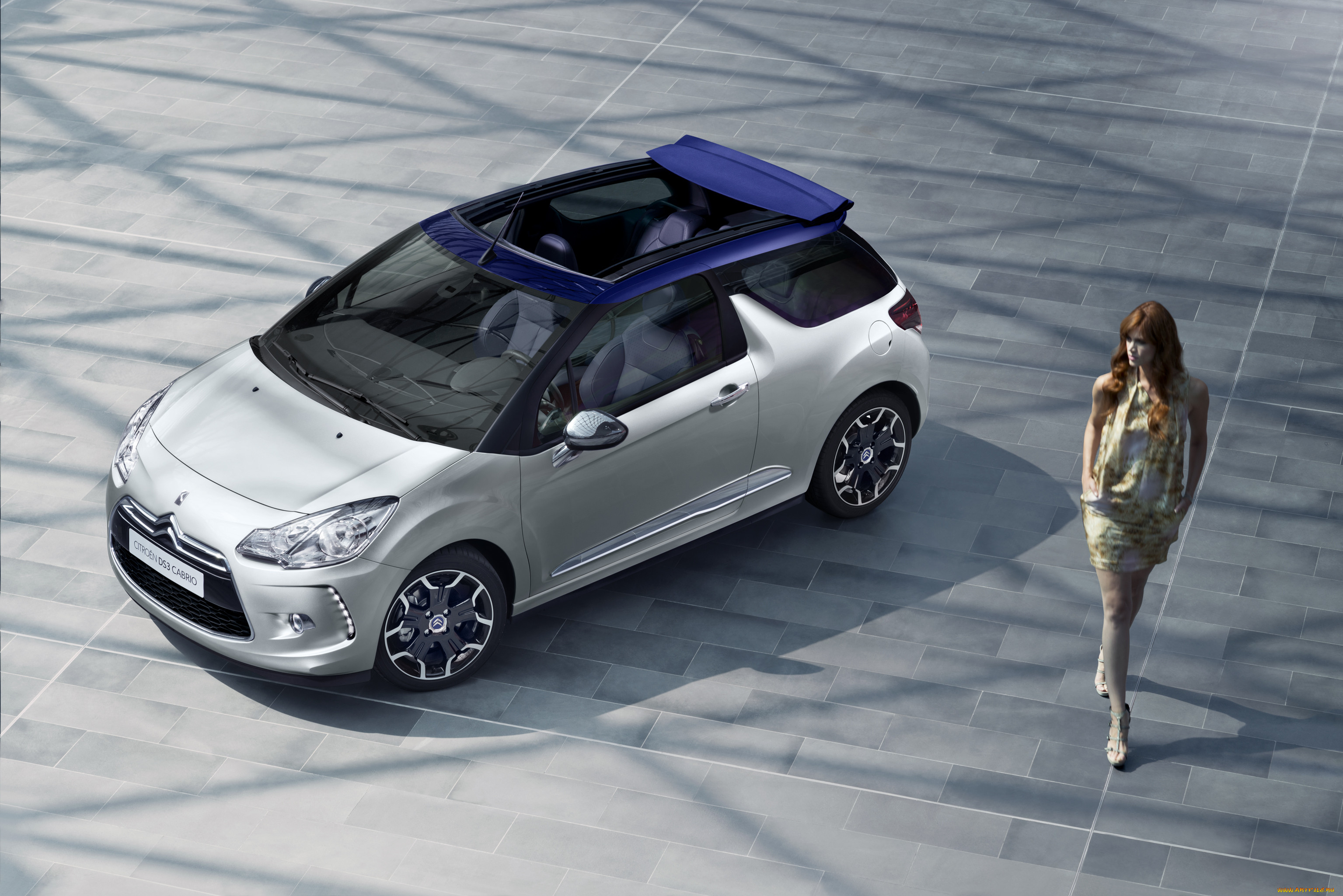, -  , citroen